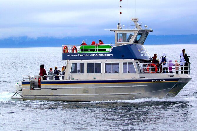 Victoria Whale Watching Cruise with Expert Naturalists - Key Points
