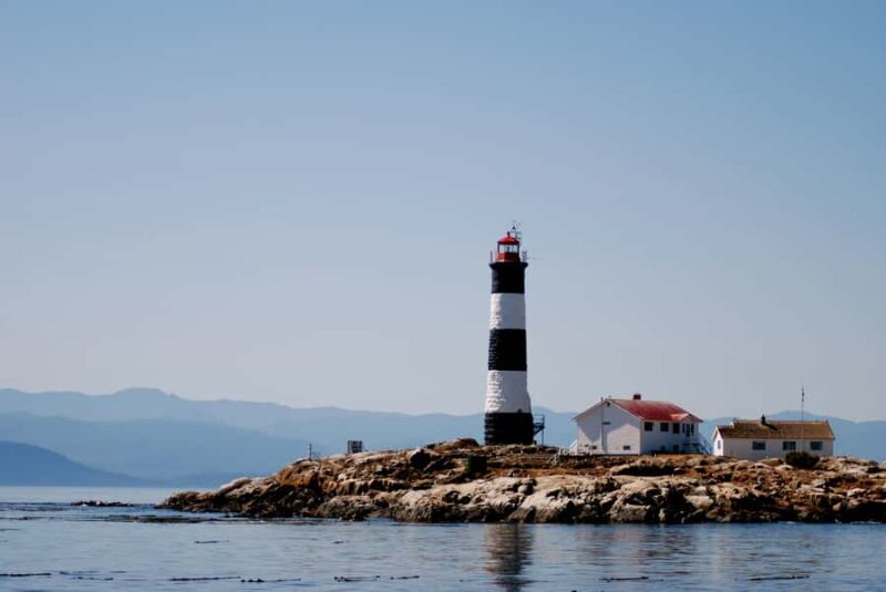 Victoria: Whale Watching Marine Wildlife Excursion Zodiac - The Sum Up: An Authentic, Thrilling Wildlife Experience