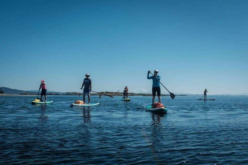 Victoria,BC: Learn to SUP and Tour - An In-Depth Look at the Experience