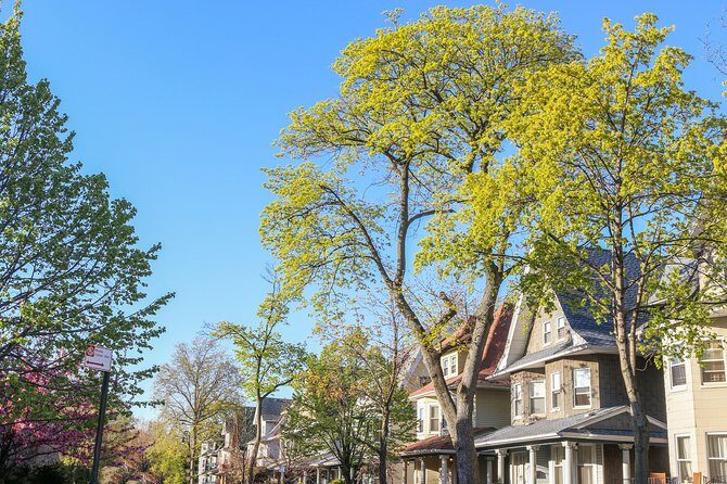 Victorian Flatbush , Brooklyn Private Tour - Key Points