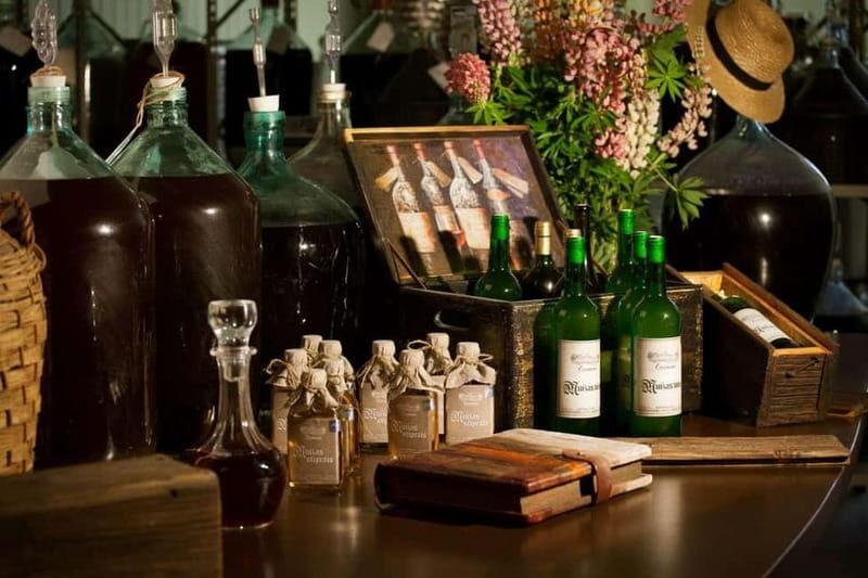 Vidzeme wine tasting tour - Key Points