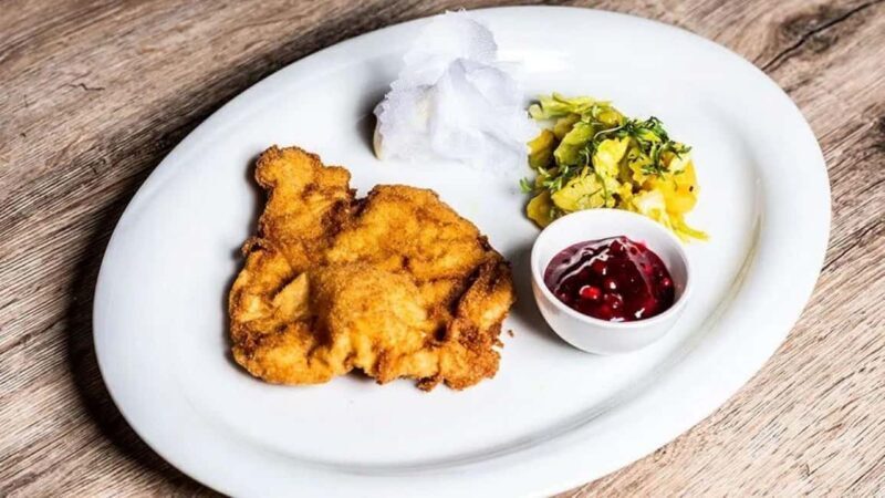 Vienna: 2-hour Danube Panorama Tour - Who Should Consider This Tour?