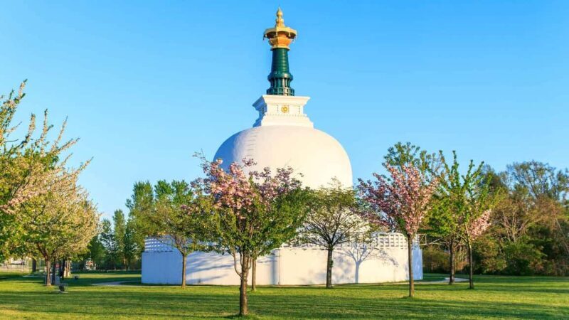 Vienna: 2-hour Danube Panorama Tour - The Sum Up