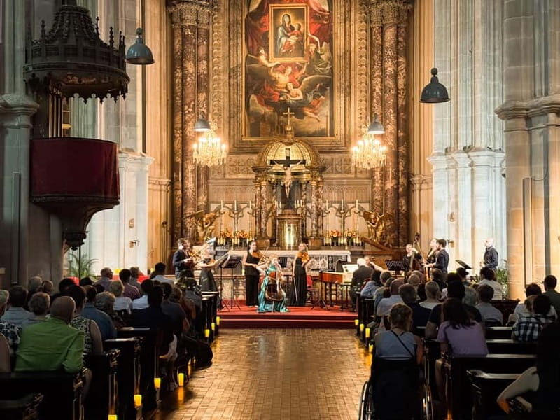 Vienna: Advent, Christmas and New Year's Concerts - Key Points