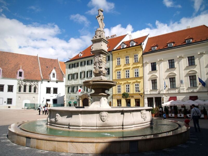 Vienna: Bratislava Day Trip with Private Guide and Transport - The Transport Options: Pros and Cons