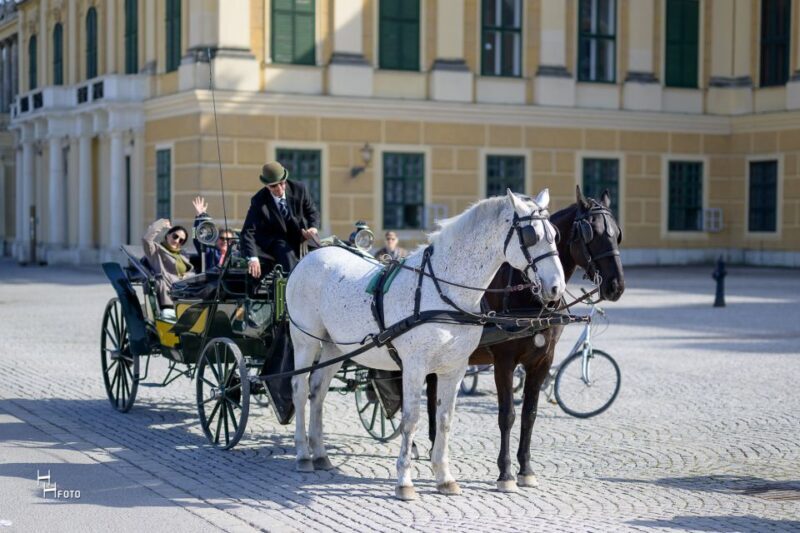 Vienna: Carriage Ride Through Schönbrunn Palace Gardens - An Elegant Ride with a Touch of History in Vienna