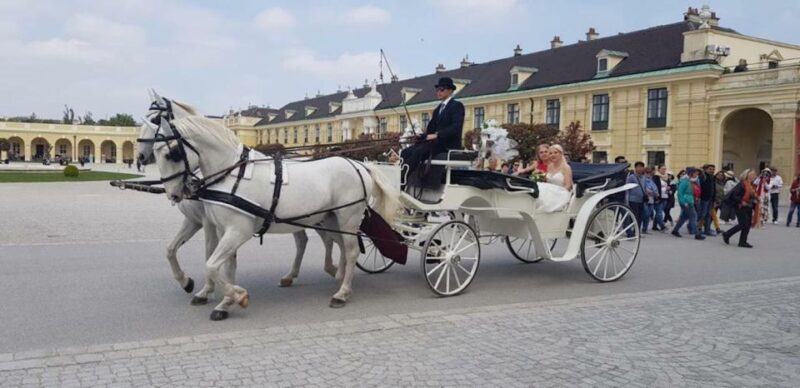 Vienna: Carriage Ride Through Schönbrunn Palace Gardens - Is This Experience Right for You?