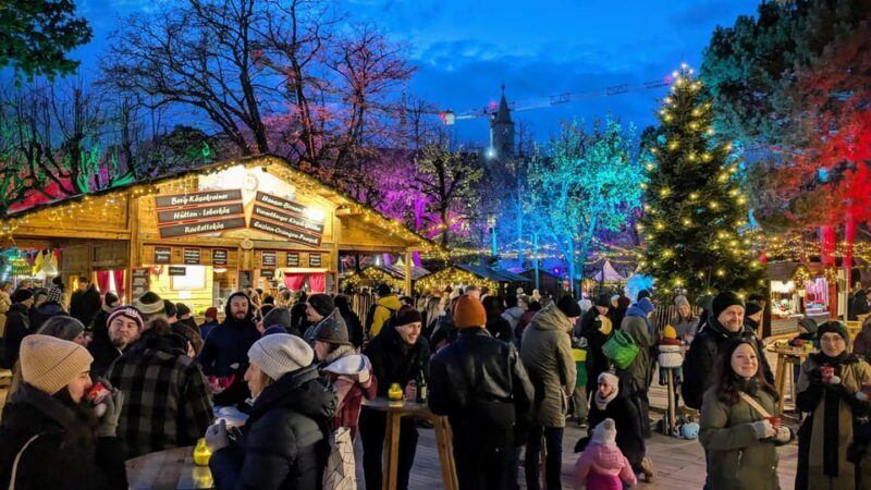 Vienna: Christmas Market Food and Drinks Tour - What Reviewers Say