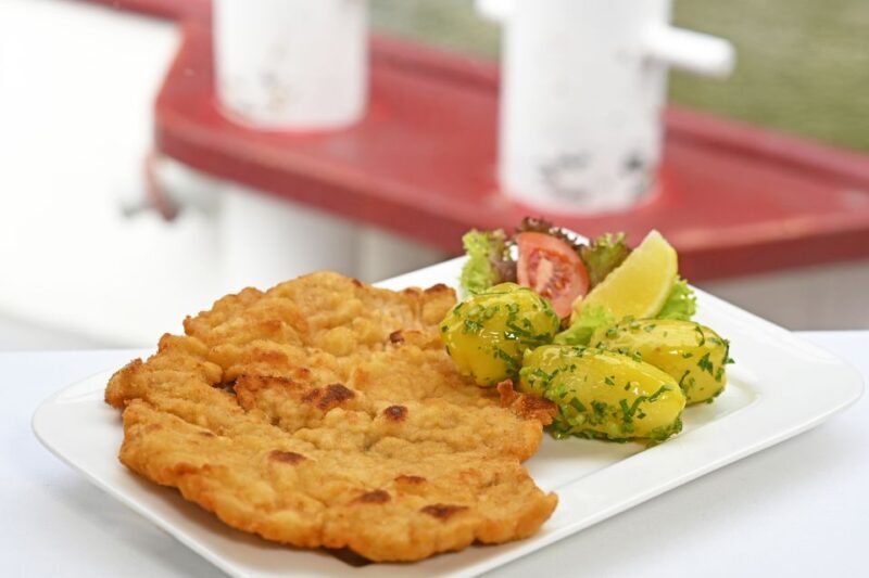 Vienna: Danube River Cruise w/ optional Viennese Specialties - Final Thoughts