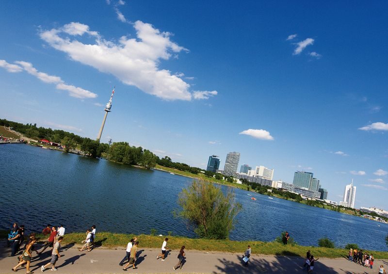 Vienna: Full-Day Private Tour including Schönbrunn Palace - Key Points