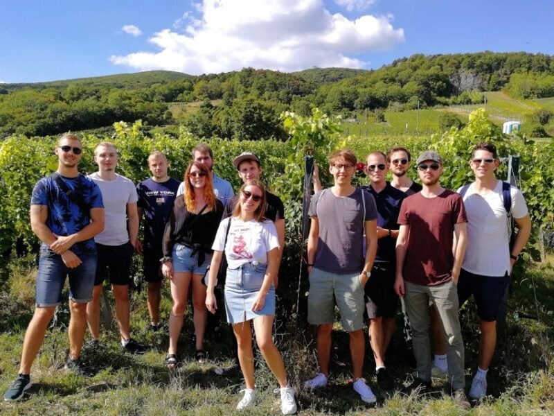 Vienna: Full-Day Vienna Woods Wine Tasting Tour - Final Thoughts