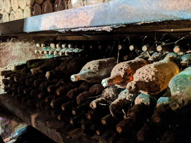 Vienna: Full-Day Vienna Woods Wine Tasting Tour - FAQ