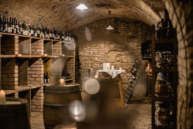 Vienna: Hidden Wine Cellars Tasting Experience - Setting the Scene: What the Tour Involves