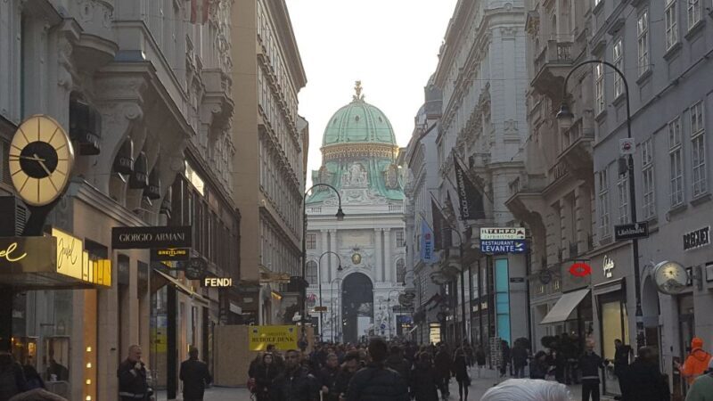 Vienna Historical Highlight City Tour + Hofburg - Key Points
