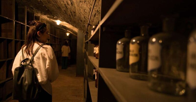 Vienna: Historical Pharmacy Cellar Guided Tour - Insights from Reviewers: Authentic Perspectives