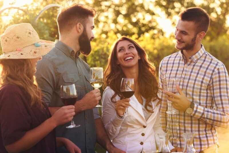 Vienna: Melk, Wachau Wine, Lower Austria Day Trip by Car - Authenticity and Value: Why This Tour Stands Out