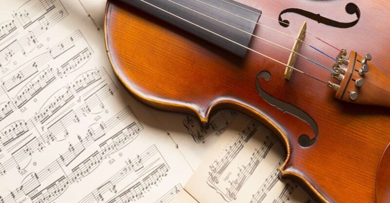 Vienna: Mozart, Beethoven, & Strauss Private Tour - Value and Practicalities