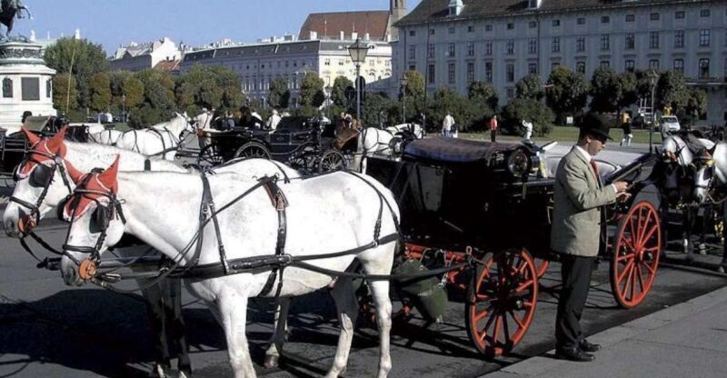Vienna: Mozart Concert with Dinner and Carriage Ride - An In-Depth Look at This Vienna Experience