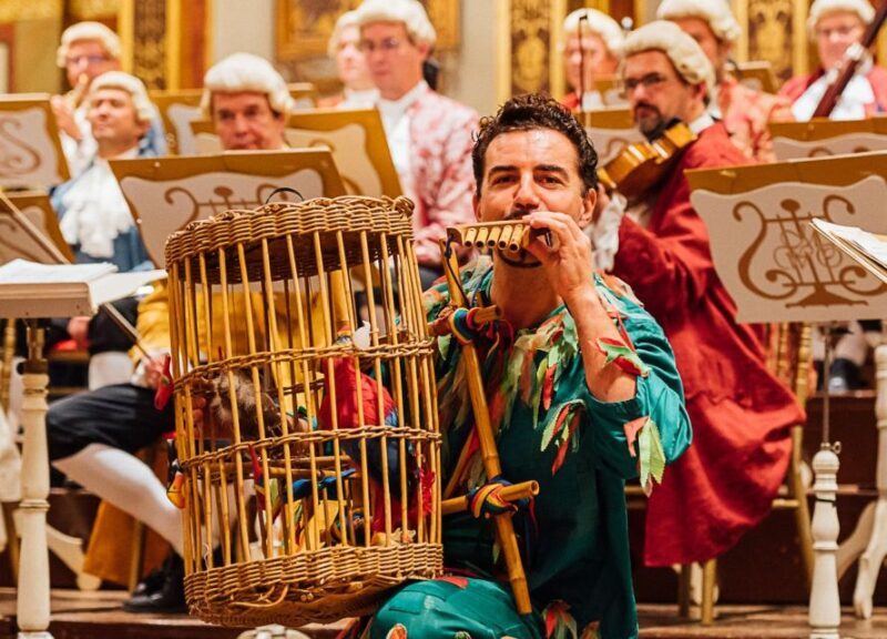 Vienna: Mozart Concert with Dinner and Carriage Ride - Who Will Love This Tour?