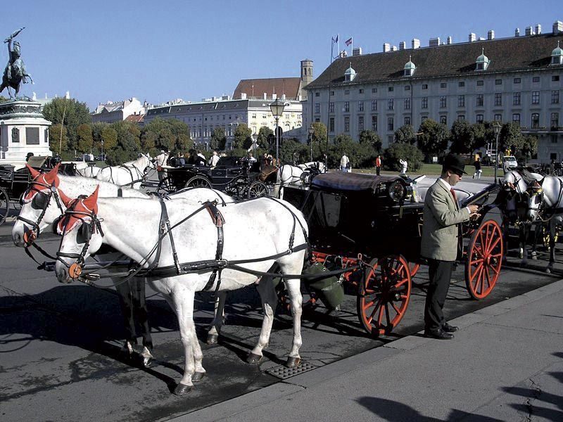 Vienna: Mozart Concert with Dinner and Carriage Ride - FAQ
