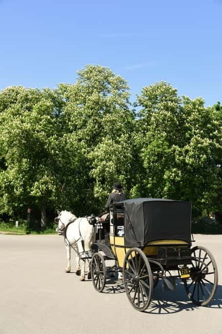 Vienna Porcelain Carriage - A discreet Prater carriage ride for adults - Key Points
