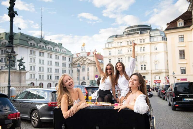 Vienna: Private City Tour and Dinner in a Vintage Car - Discovering Vienna in a Vintage Car: What to Expect