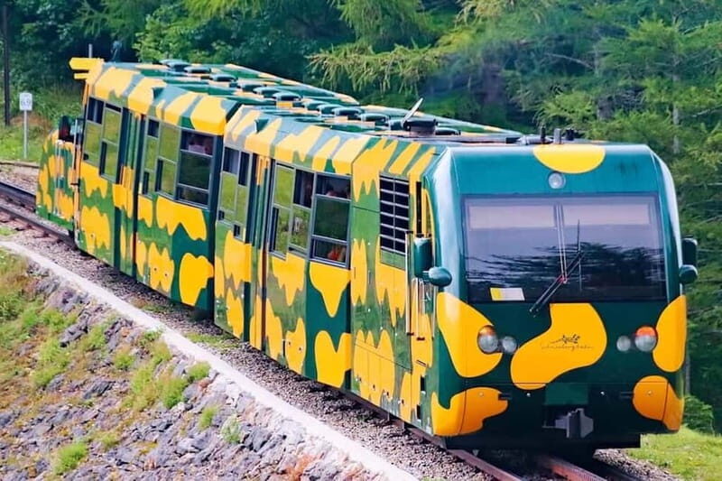 Vienna: Private Day Trip to Schneeberg & Lake Neusiedl - Transport, Cost, and Overall Value