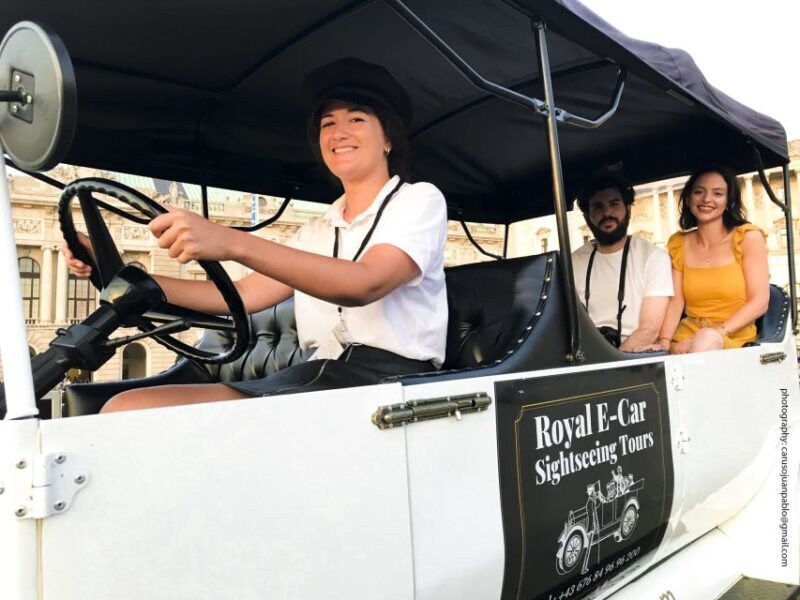Vienna: Private Electric Car Sightseeing Tour - An In-Depth Look at the Vienna Electric Car Tour