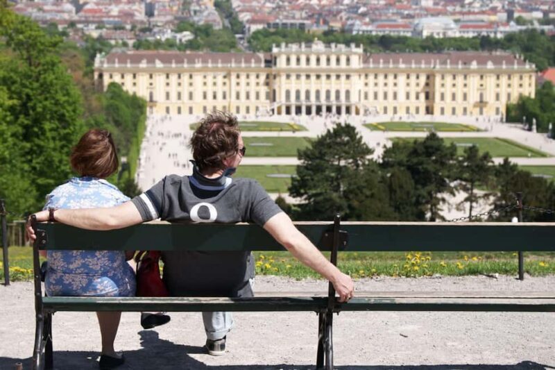 Vienna Private Full Day Tour  Tickets to Schönbrunn & Lunch - Exploring Vienna in a Day: What to Expect