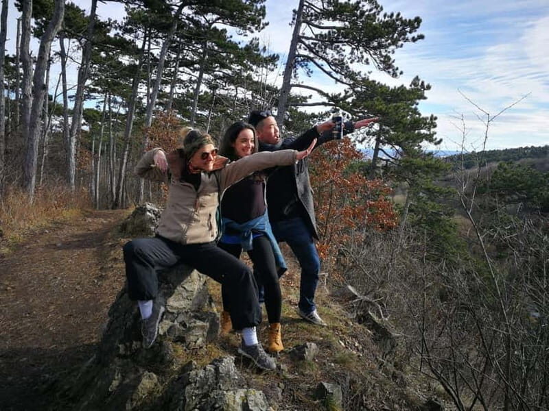 Vienna: Private Walking Tour Through the Hilly Countryside - What’s Included and What’s Not