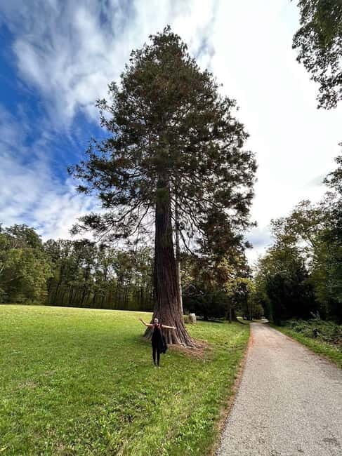 Vienna: Private Walking Tour Through the Hilly Countryside - Final Thoughts: Who Is This Tour For?