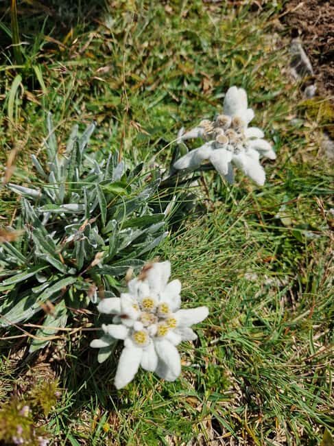 Vienna: Rax Mountain Hiking Tour with Guide and Transfer - FAQs