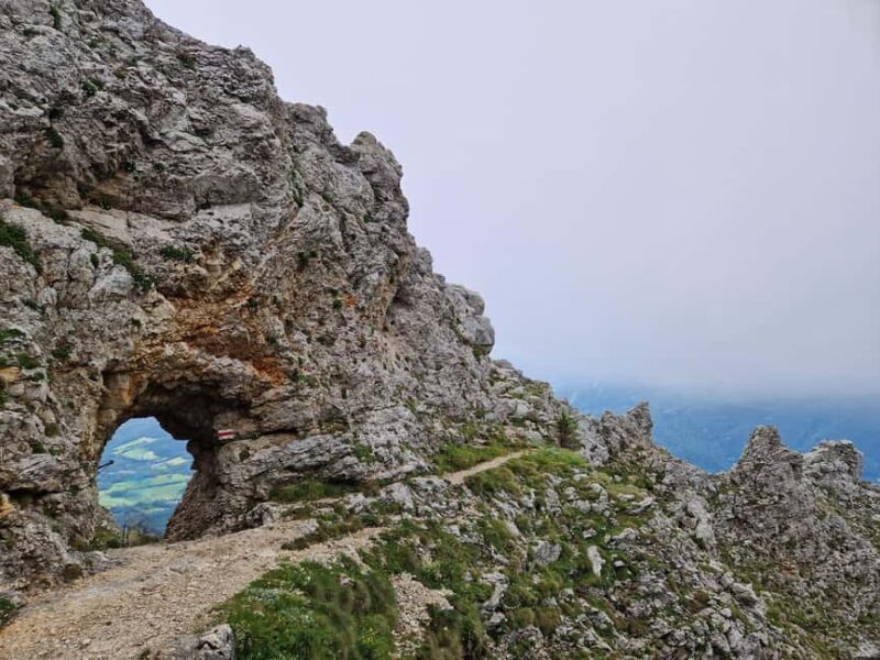 Vienna: Relaxed Alpine Experience with Guide and Transfer - Lunch in a Mountain Hut: Authentic and Cozy