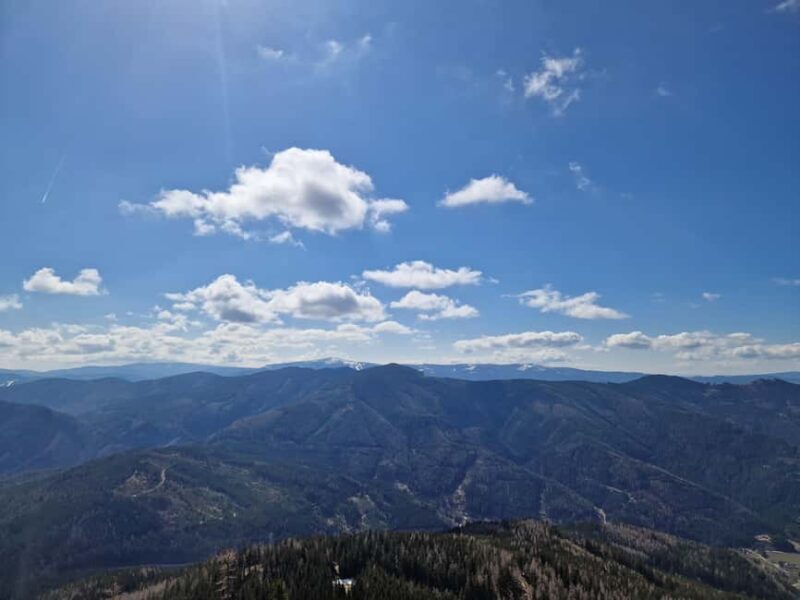 Vienna: Relaxed Alpine Experience with Guide and Transfer - Return to Vienna: A Long but Rewarding Day