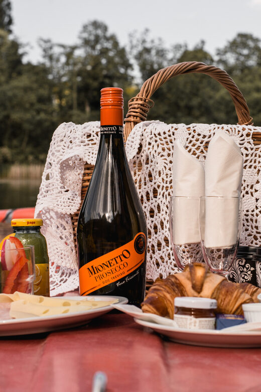 Vienna: Retro Boat Tour on the Danube River with Picnic - The Sum Up