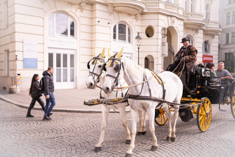 Vienna: Romanian Heritage and Christmas Markets Guided Tour - Who Should Consider This Tour?