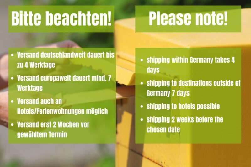 Vienna: Scavenger Hunt Self-Guided Tour - Who Is This Tour Perfect For?