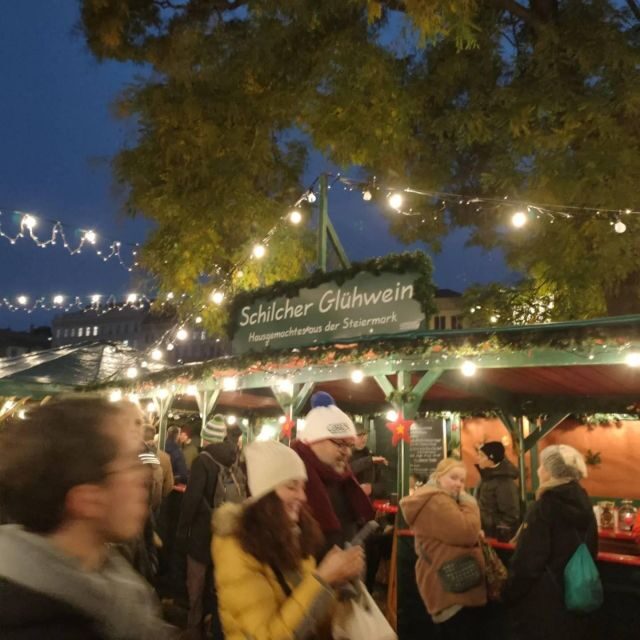 Vienna: Schönbrunn Palace & Christmas Market Walking Tour - Practicalities and Tips