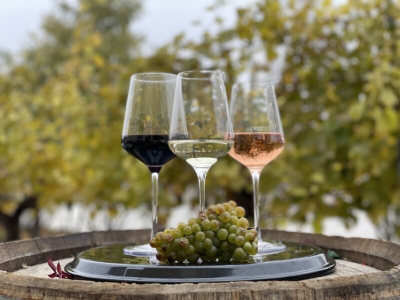 Vienna: Schönbrunn Palace Entry Ticket and Wine Tasting - Practical Details: What to Expect and Tips