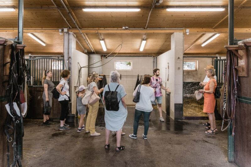 Vienna: Secrets of the Fiaker & Horse-Drawn Carriage Ride - The Itinerary in Detail