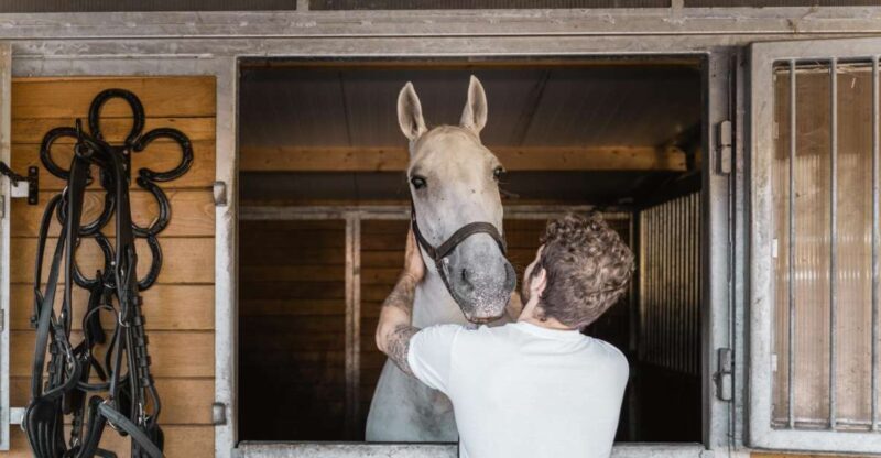 Vienna: Secrets of the Fiaker & Horse-Drawn Carriage Ride - Practical Tips for Enjoying the Tour
