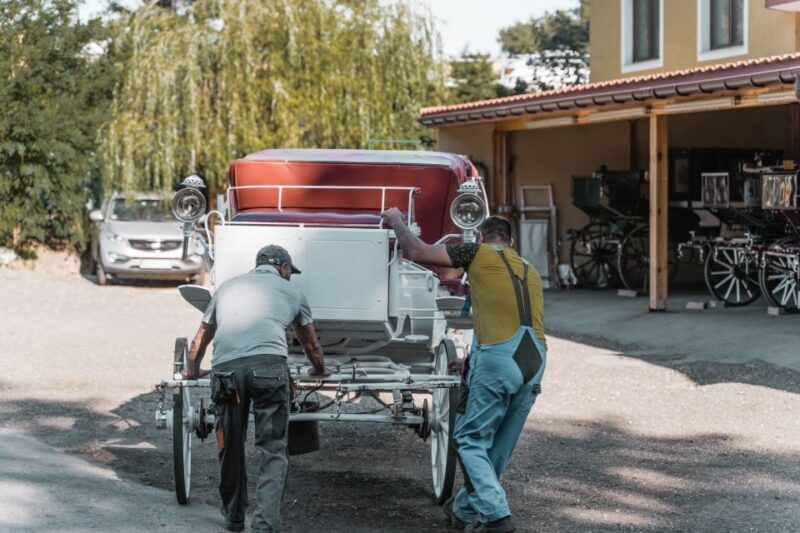 Vienna: Secrets of the Fiaker & Horse-Drawn Carriage Ride - Who Will Love This Tour?