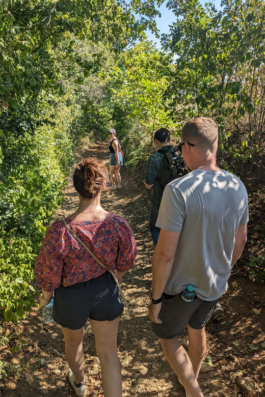 Vienna: Small-Group Wine Tasting Tour - Authenticity and Genuine Value