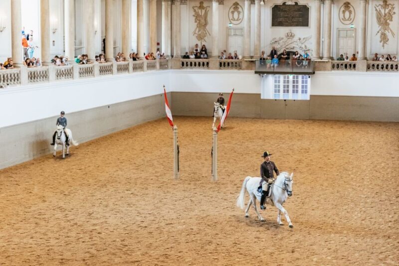 Vienna: Spanish Riding School Training - An Honest Look at the Spanish Riding School Training Experience