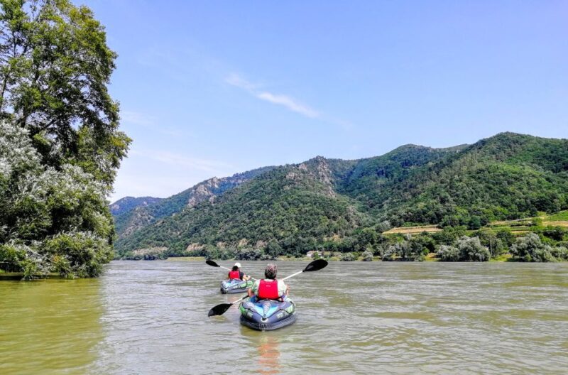 Vienna: Wachau Valley Private Kayak and Wine Tour - Key Points