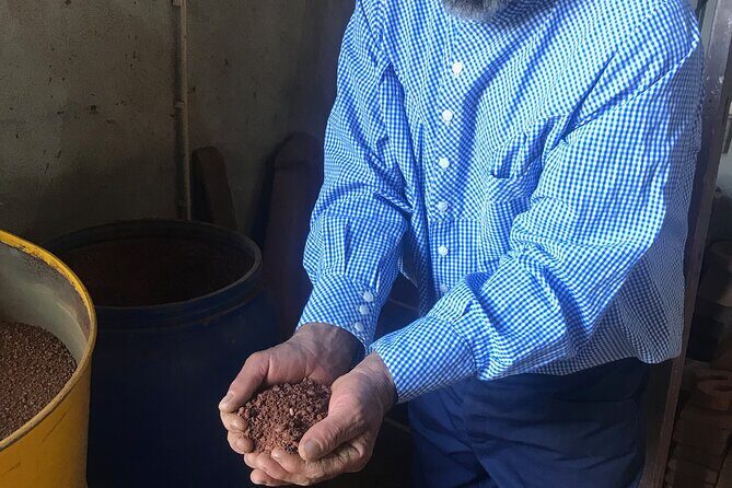 Vienna Wine Experience - Key Points