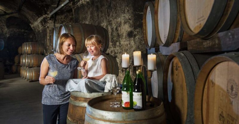 Vienna: Wine Tasting E-Bike Tour - Key Points