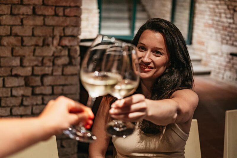 Vienna: Wine Tasting Experience in a Private Wine Cellar - Group Size, Accessibility, and Practicalities