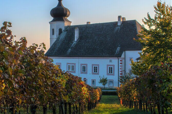 Vienna Woods Wine Tour - Wines, Vines & Good Times! - Gumpoldskirchen & Lunch
