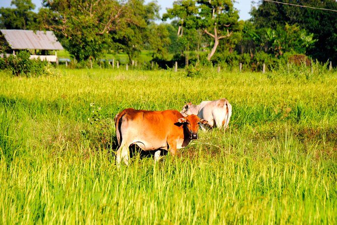 Vientiane Day Trip By Bike To Tad Moon Waterfall - Key Points